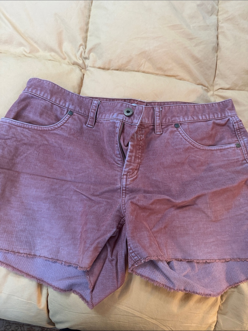 Carve Designs Corduroy Shorts Oahu 4”